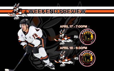 Hat Tricks Clash with President’s Cup Champion Black Bears in East Division Semifinals