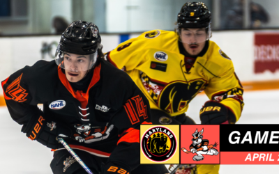 Hat Tricks Fall in Back-and-Forth Battle, Eliminated by Black Bears